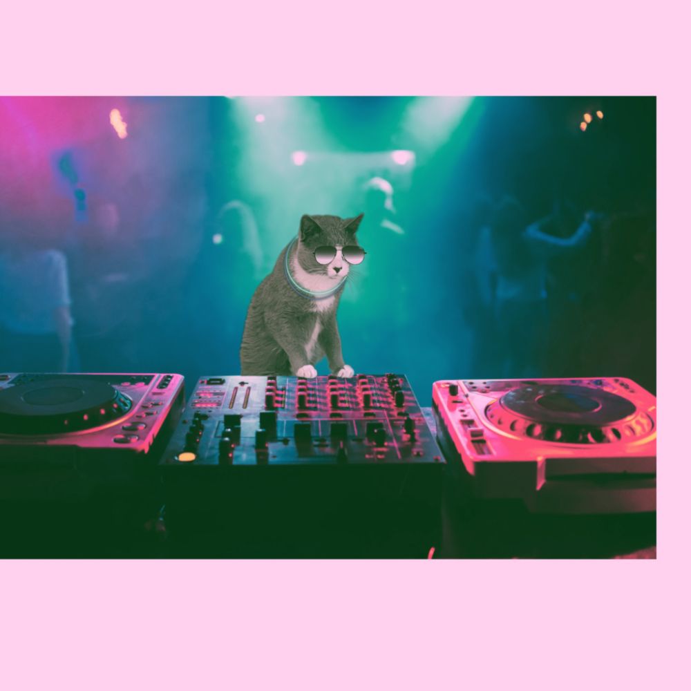 DJ Nandor on the decks
