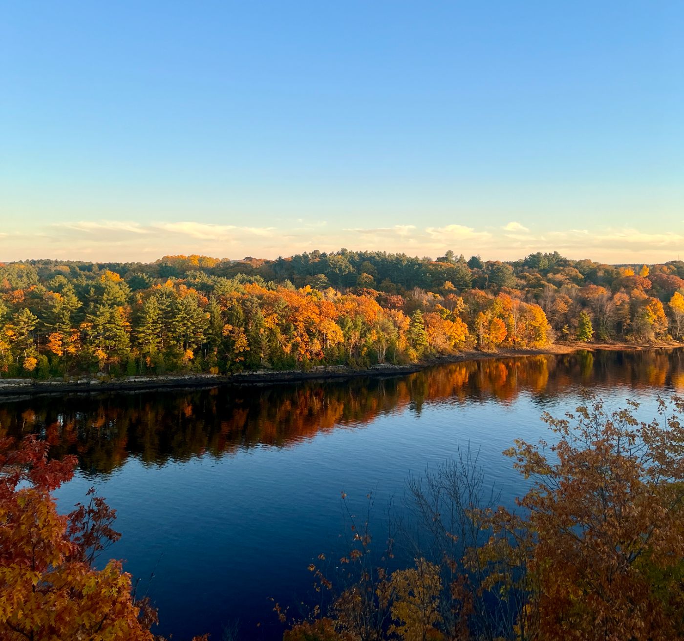 Autumn foliage over the river