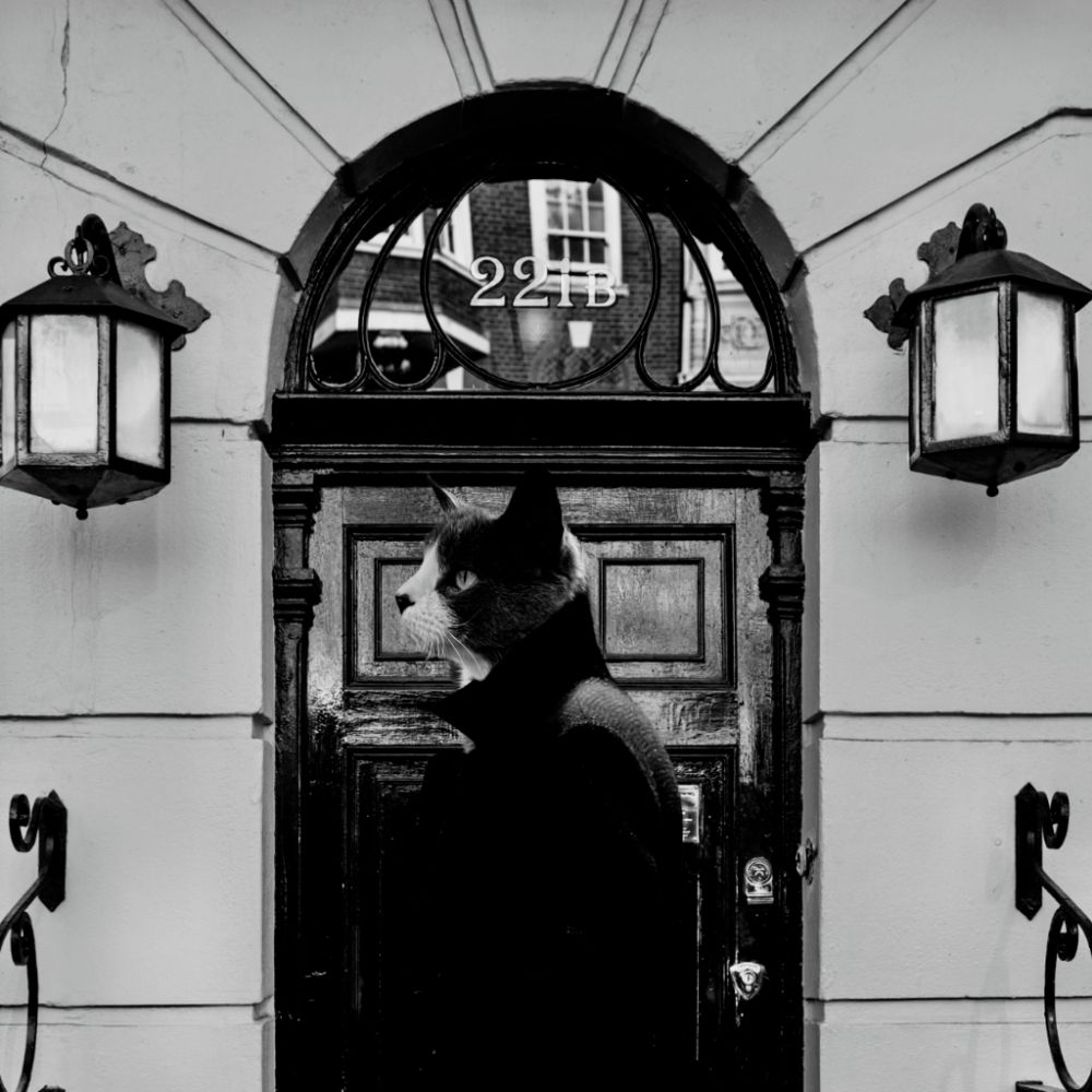 Nandor at 221B Baker Street