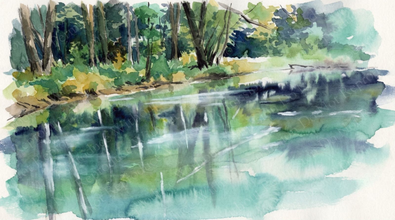 Forest pond with reflections