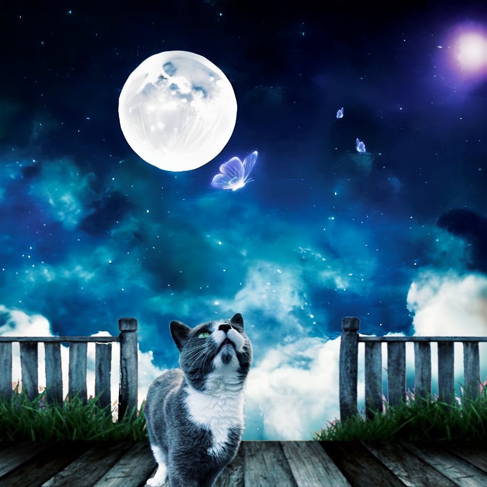 Nandor under a full moon with butterflies