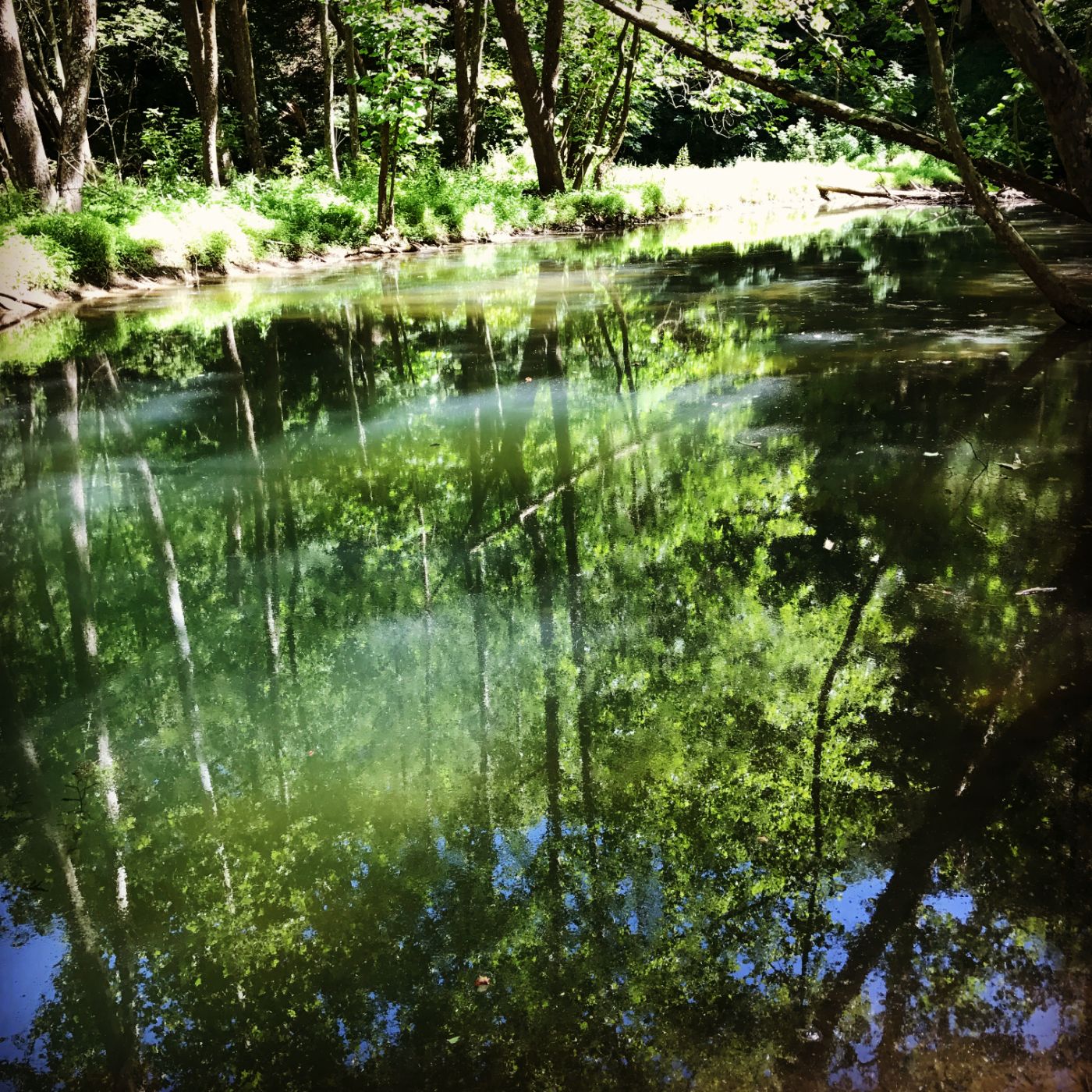 Creek reflections