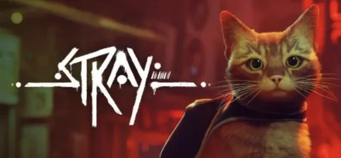 Stray