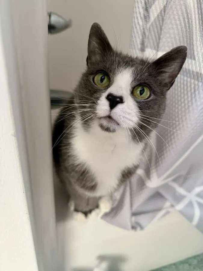 Bathroom supervisor