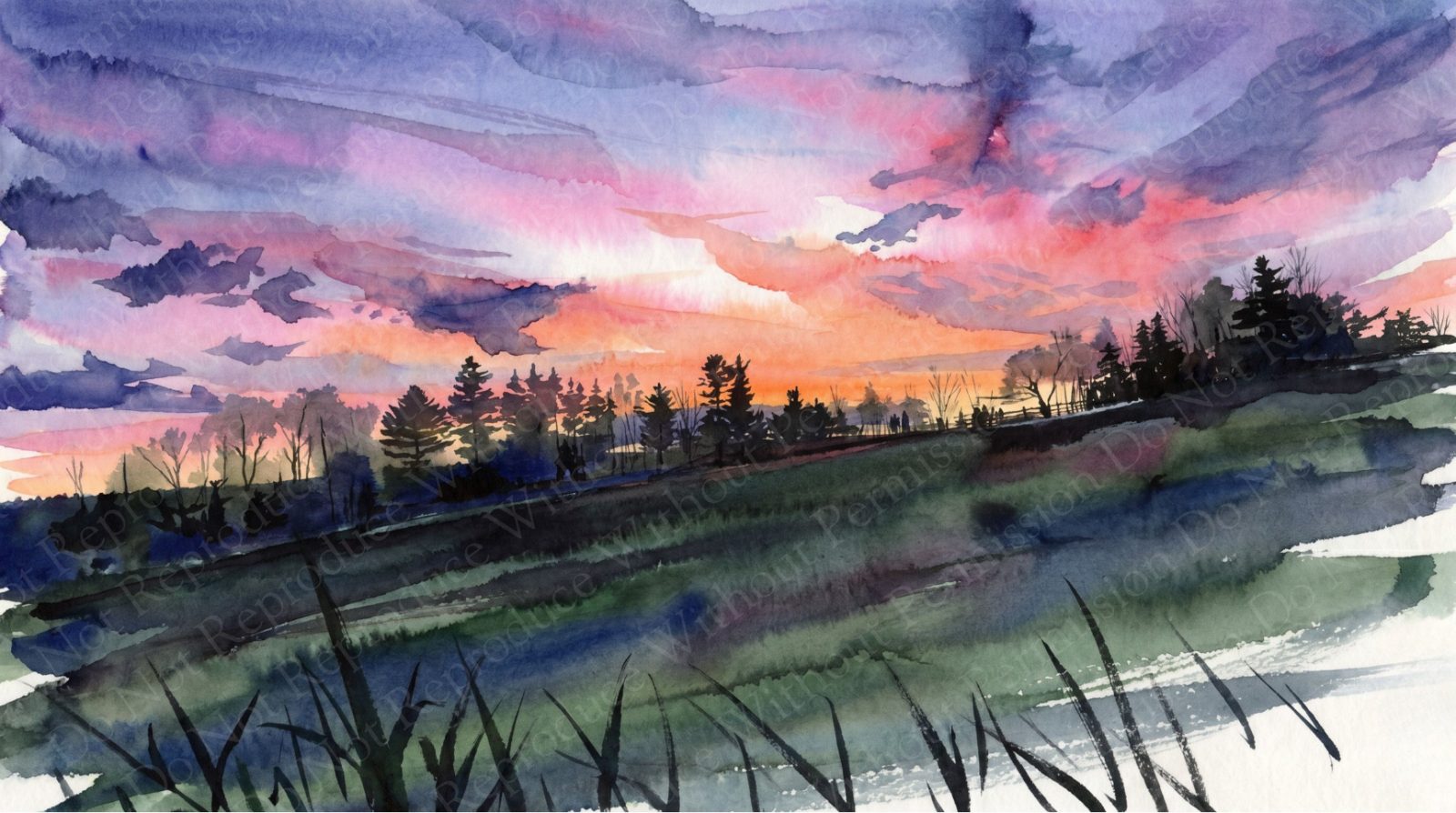Sunset over a field with pines