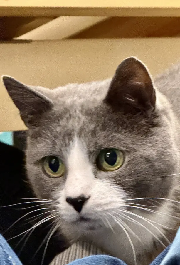 Extreme close-up