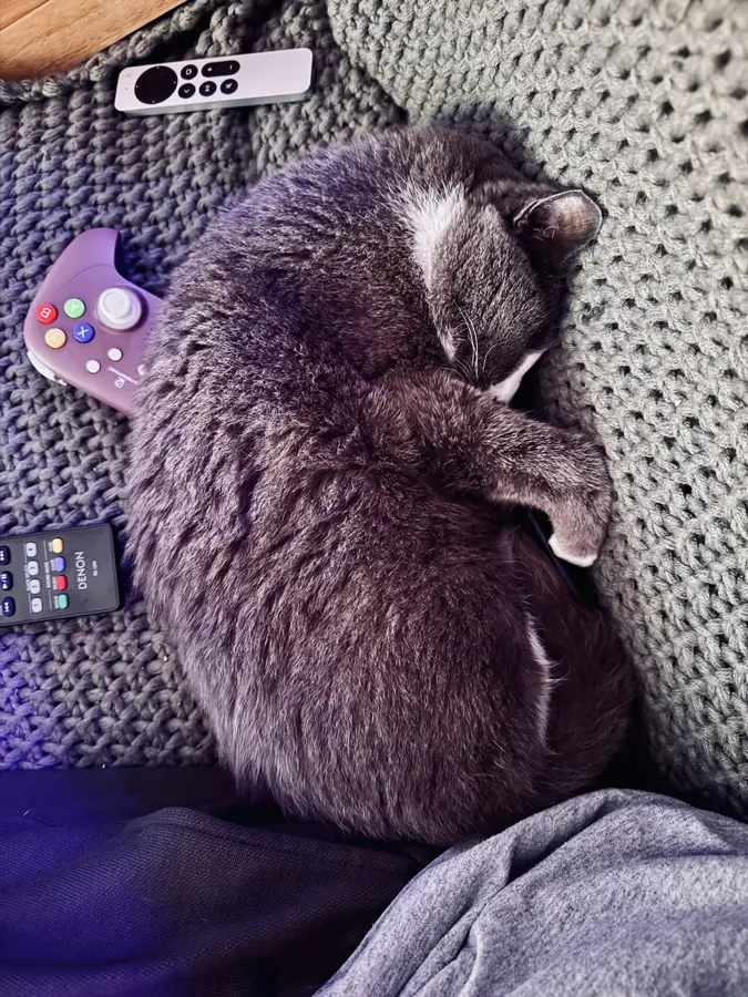 Asleep among the remotes