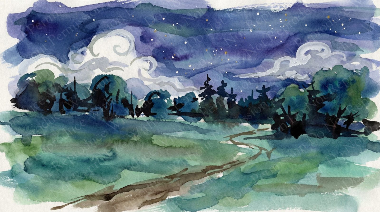 Starry night over a field path